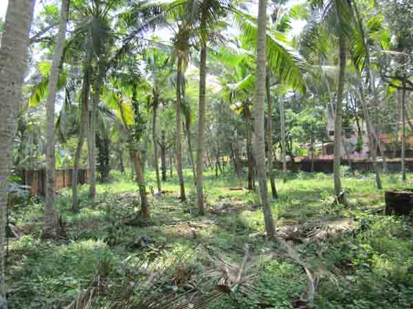 Land in Kerala