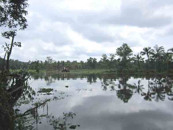 Land in Kerala