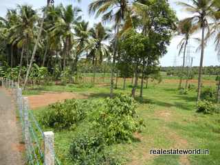 Kerala Real Estate