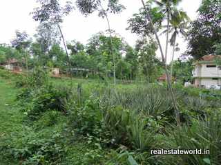 Villas in Kerala