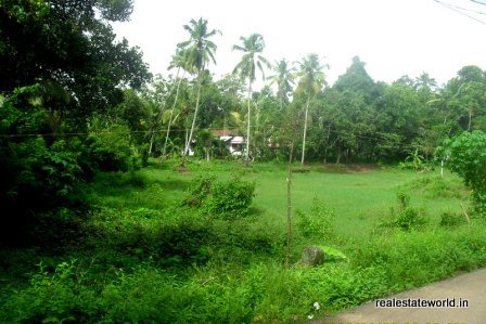 Villas in Kerala