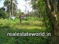 Kerala Real Estate