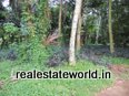 Kerala Real Estate