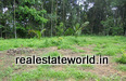 kerala_real_estate_ad25001021th.JPG