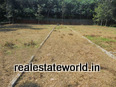 kerala_real_estate_ad25350102pc.jpg