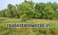 kerala_real_estate_ad25420105id.JPG