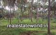 Kerala Real Estate