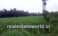 Land for Sale in Kozhinjampara