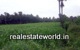 Kerala Real Estate