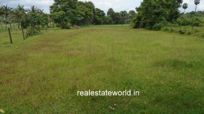 kerala_real_estate_ad26480121DS.jpg