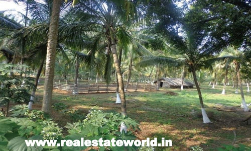Land for Sale in Chittoor