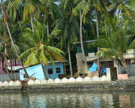 Kerala Real Estate