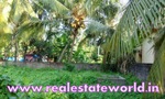 kerala_real_estate_ad34780622ek.JPG