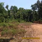 Land in Kerala