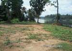 Land for sale in Cochin