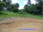 Land for sale in Cochin